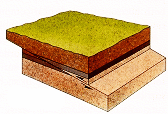 Picture: Thrust fault